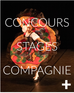+   CONCOURS  STAGES  COMPAGNIE